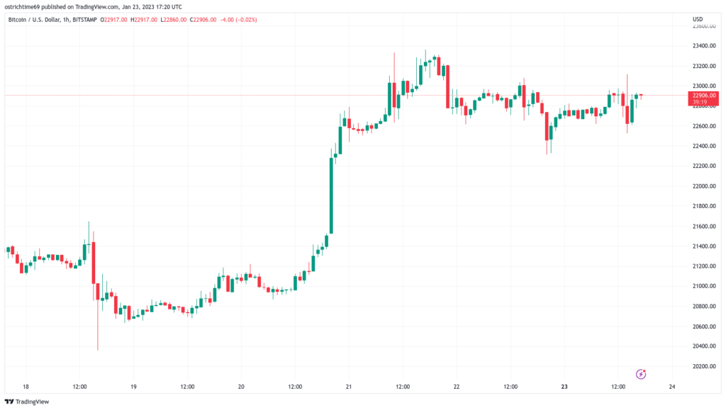 El precio de Bitcoin se mantiene cerca de USD 23,000 mientras los datos muestran que los holders no están vendiendo sus BTC