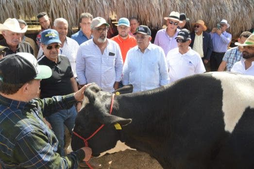 Resaltan avance de la ganadería de leche en Santiago Rodríguez