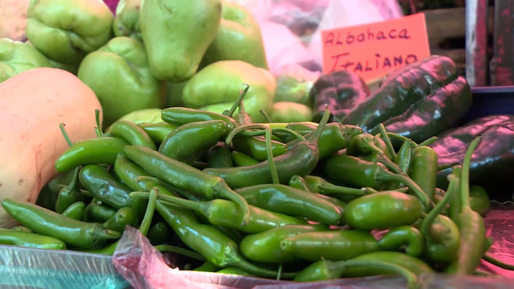 ¿Qué es el chile serrano y por qué preocupa que su precio este por los cielos en México?