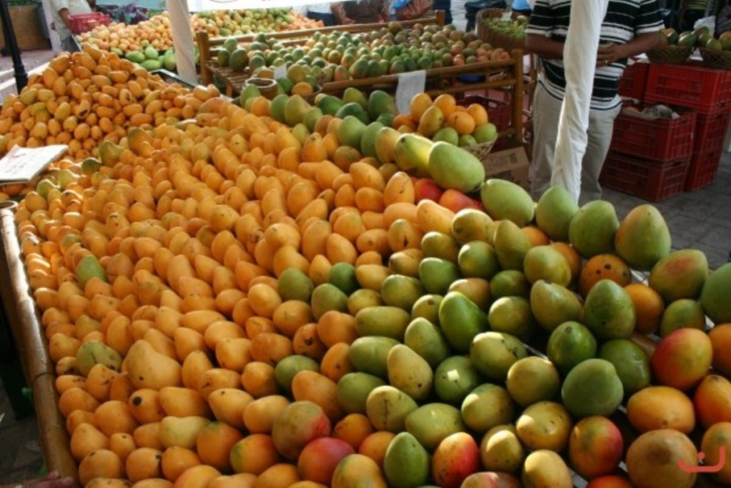 Graduaron a productores de mango en Baní