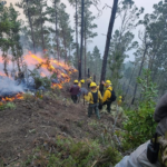 Brigadas forestales siguen trabajando para sofocar incendio de Valle Nuevo