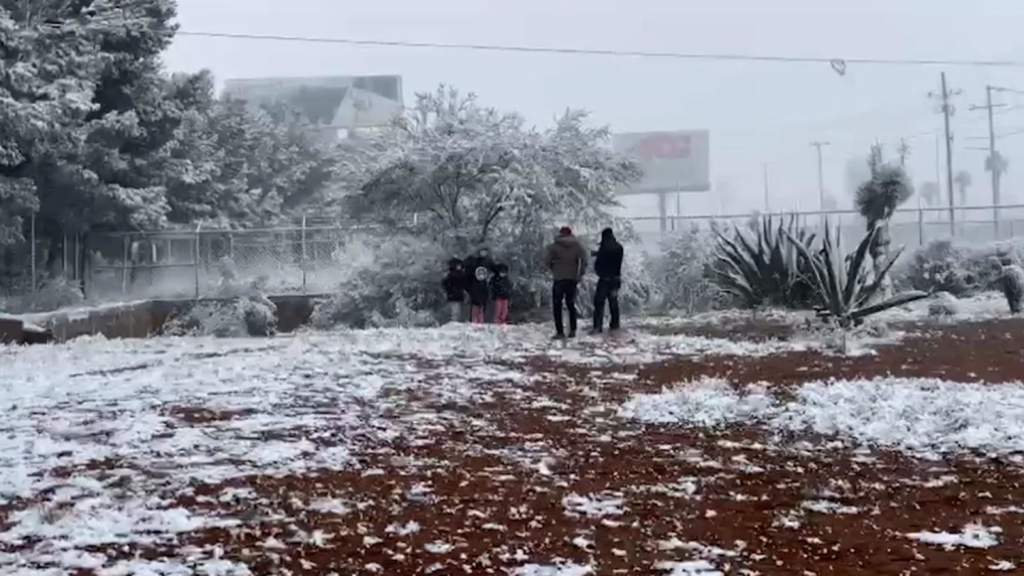 Prepárate, el frío se puede extender 15 días en el norte y centro de México, según experto