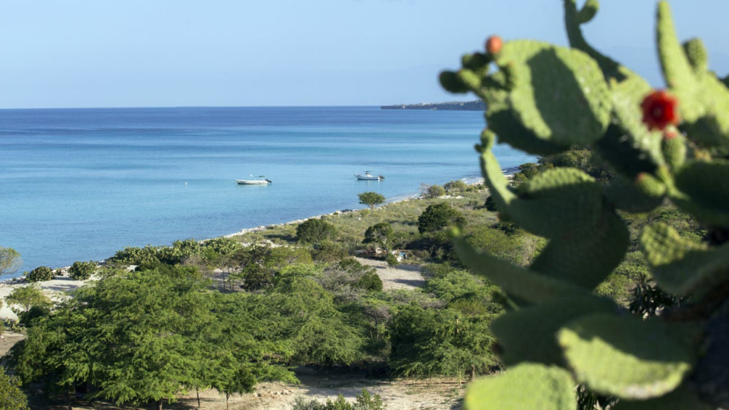 INFOTEP prepara trabajadores para el proyecto Pedernales-Cabo Rojo