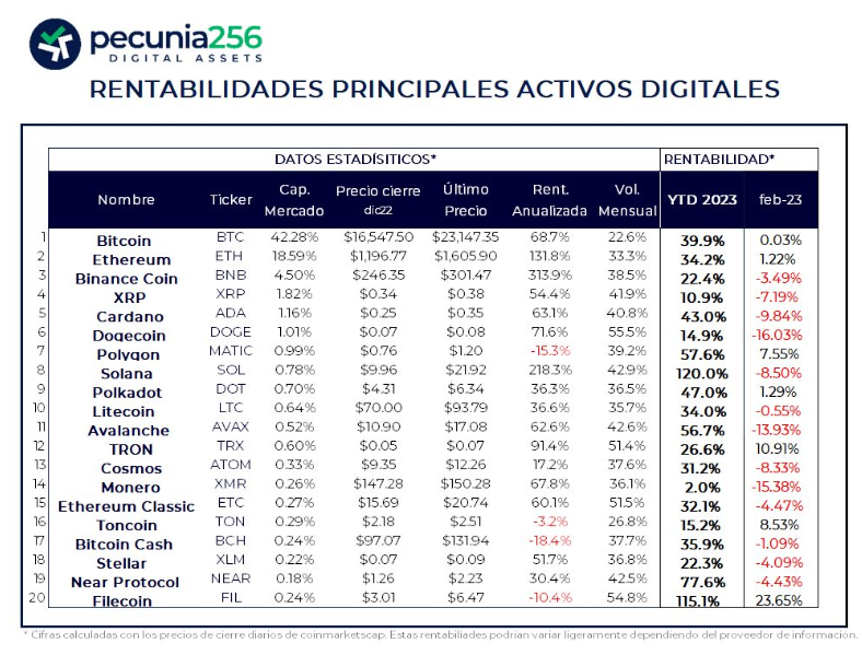 Según la CEO de Pecunia256, la rentabilidad de activos digitales en febrero fue discreta