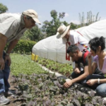 Políticas deben tomar en cuenta nueva ruralidad