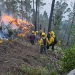 Brigadas tratan apagar incendio de Valle Nuevo