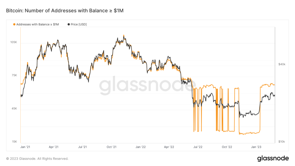 Datos: los "millonarios" de Bitcoin aumentaron un 140% cuando el precio superó los USD 20,000