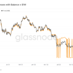 Datos: los "millonarios" de Bitcoin aumentaron un 140% cuando el precio superó los USD 20,000