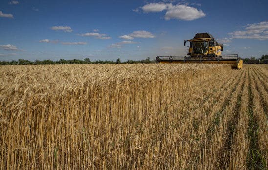 ONU: Salida de cereales ucranianos crucial para seguridad alimentaria mundial