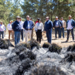 Abinader visita Valle Nuevo para conocer programa de restauración área afectada por incendio