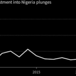 Estudio: la inversión extranjera en criptomonedas en Nigeria está en mínimos históricos