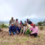 UTEPDA siembra más de 2,100 árboles en Barahona en conmemoración del Día Mundial del Agua