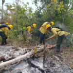 Medio Ambiente identifica responsables de crear algunos incendios en zonas de RD