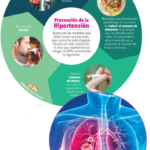 La hipertensión pulmonar es una enfermedad multifactorial