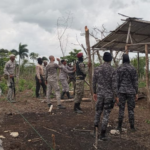 Más de 100 arrestados por daños Los Haitises