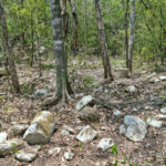 Investigadores descubren milenaria ciudad maya en selva en el sudeste de México