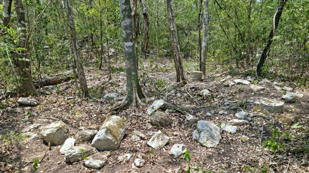 Investigadores descubren milenaria ciudad maya en selva en el sudeste de México