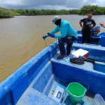 Gestión Ambiental investiga causa de muerte de peces en presa de Hatillo y Azua