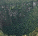 Un bosque en China ha logrado crecer a 192 metros bajo el suelo. Y aún no sabemos muy bien cómo