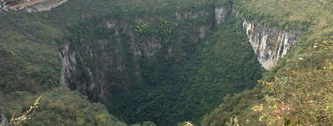 Un bosque en China ha logrado crecer a 192 metros bajo el suelo. Y aún no sabemos muy bien cómo