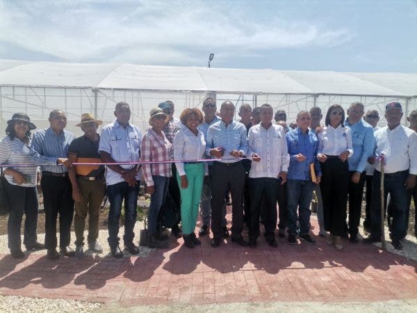 Inauguran Cámara Térmica para producir material de siembra de plátano y guineo de alta calidad