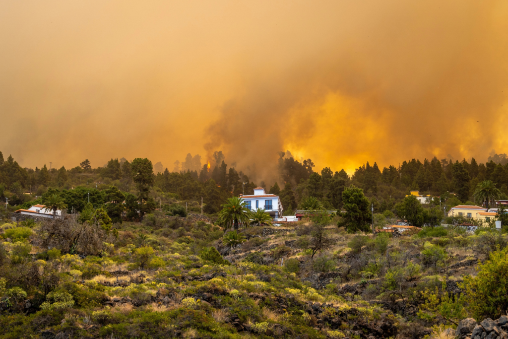 El incendio de Puntagorda (La Palma), descontrolado: ya afecta a 4.500 hectáreas