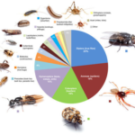 Siempre llega un momento en la vida en que toca decidir si matar a una araña (o no). Los aracnólogos tienen una respuesta