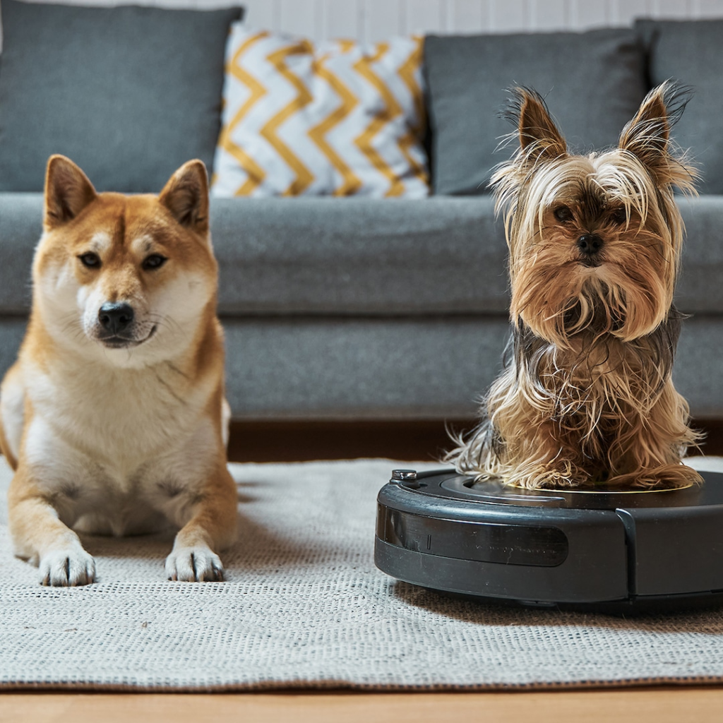 Este quitamanchas y olores de mascotas tiene más de 74,900 reseñas de 5 estrellas en Amazon