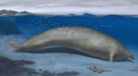 Pensábamos que la ballena azul era enorme. Hasta que encontramos a Colossus, el animal más pesado de la historia