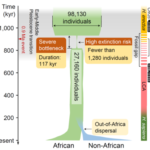 1.300 personas deambulando por la Tierra: hace 900.000 años la humanidad estuvo a punto de extinguirse