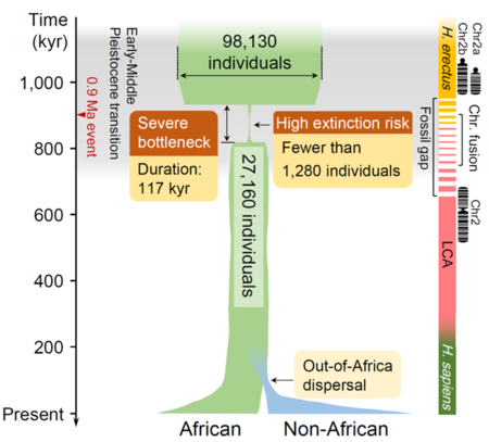 1.300 personas deambulando por la Tierra: hace 900.000 años la humanidad estuvo a punto de extinguirse