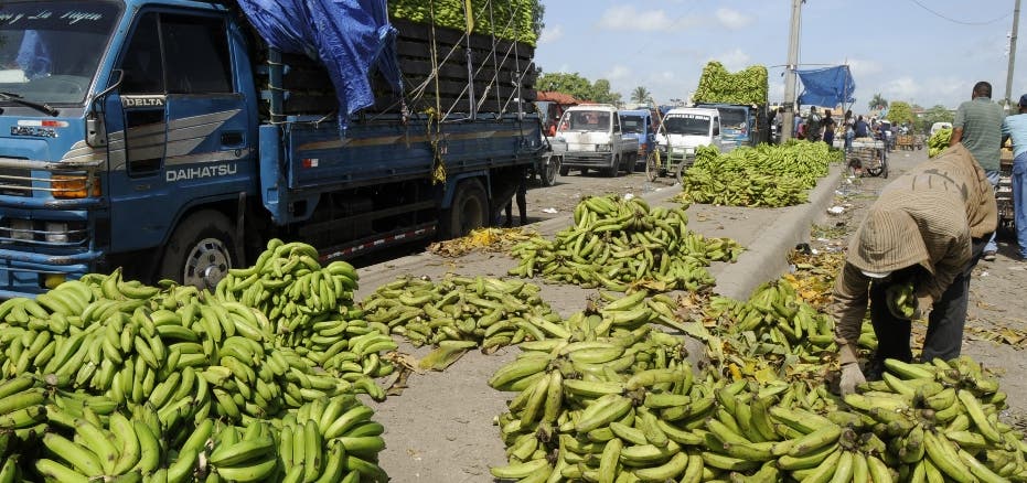 ¿Qué pasa con los plátanos, cuyos precios están altos?