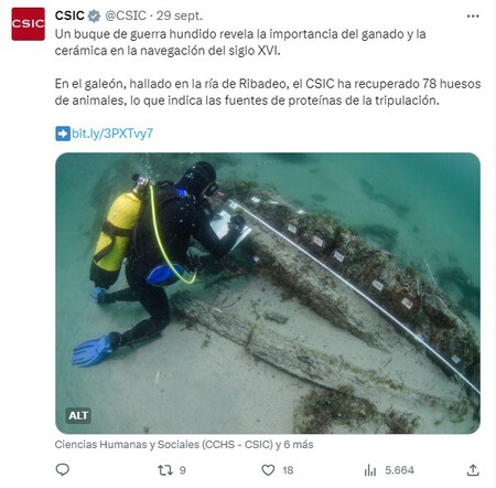 Al fin sabemos qué comían los marineros en alta mar en el siglo XVI. Gracias al CSIC y a un galeón hundido