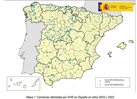 Los estragos de la EHE: cómo el "COVID de las vacas" está llevando al límite al sector ganadero en España