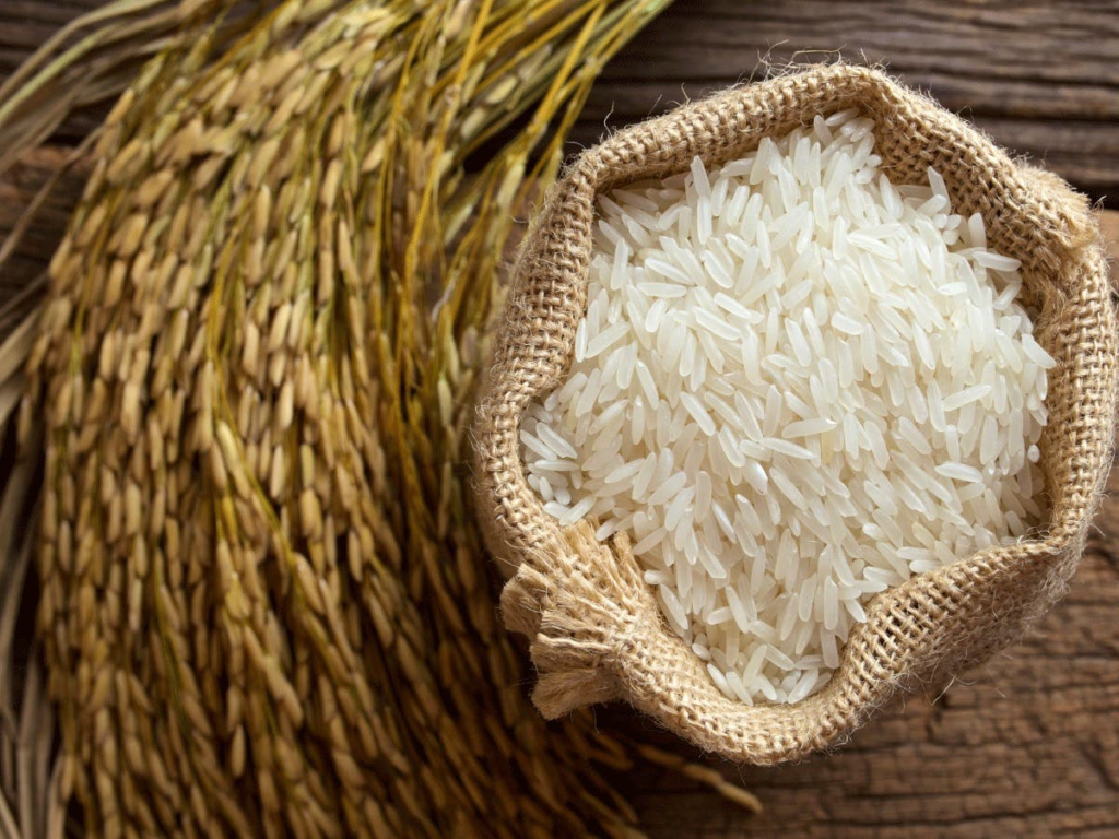 ¿Cómo encuentra el Día Mundial del Arroz a RD?