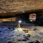 "Mira papá, bueyes": la curiosa historia de cómo una niña de ocho años descubrió sin querer las pinturas de la Cueva de Altamira