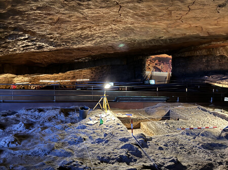 "Mira papá, bueyes": la curiosa historia de cómo una niña de ocho años descubrió sin querer las pinturas de la Cueva de Altamira