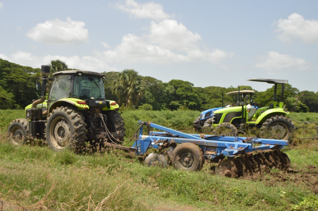 Agricultura dispone prohibición para cultivos hospederos de mosca blanca en zona Norte y Noroeste