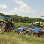 Agricultura dispone prohibición para cultivos hospederos de mosca blanca en zona Norte y Noroeste