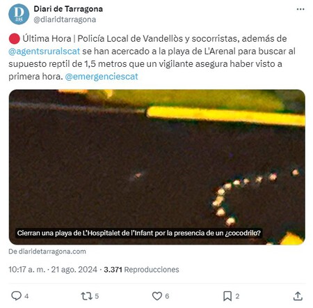 Una playa de Tarragona ha comprobado que hay algo peor que el avistamiento de un tiburón: el de un cocodrilo de 1,5 m