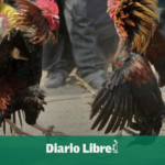 Policía apresa a tres hombres por robo de gallos