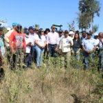 Ministerio de Agricultura dispone veda cultivos hospederos de la flor de habichuela y mosca blanca