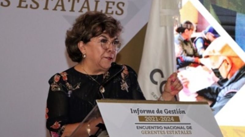 ¿Quién es Rocío Bárcena Molina, designada subsecretaria de Desarrollo Democrático, Participación Social y Asuntos Religiosos de la Secretaría de Gobernación?