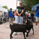 FEDA impulsa crianza Ovinocaprina en Independencia