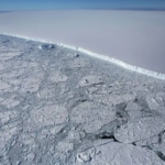 El iceberg más grande del mundo ha transformando el océano que lo rodeaba