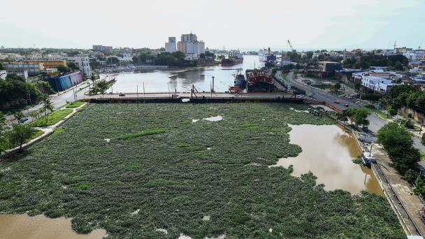 Navidad con lilas y basura en el río Ozama