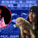 Arrojan un objeto en la cara a Billie Eilish durante un concierto en EEUU