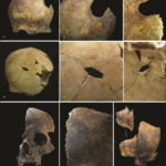 Amputaciones, canibalismo y deshumanización: la matanza más violenta y extrema de la prehistoria sucedió hace 4.000 años