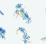 Unos ingenieros han simulado 500 millones de años de evolución con una IA. Ahora tenemos una proteína fluorescente