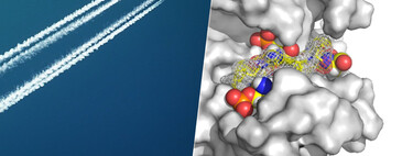 La buena noticia es que la ciencia está a punto de crear "siestas artificiales". La mala es que hay que implantarte un electrodo